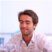 Professeur d'Histoire et de langue italienne pour des étudiants allant du collège aux études supérieures